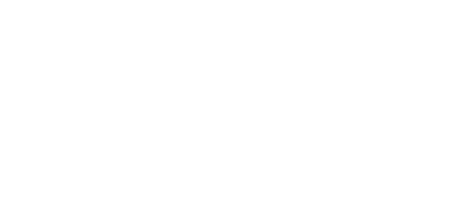 Petrogas Logo
